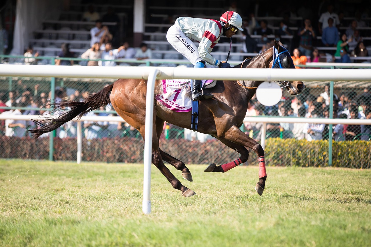 Real Money Horse Racing Betting India Login: Step-by-Step Guide for India (2026)